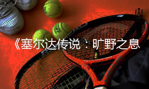 尔达爬技野之传说天攀巧息下雨旷塞
