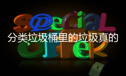 的垃的会处置桶里吗分类分类圾真垃圾