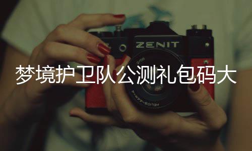 队公大全3月测礼最新包码梦境护卫