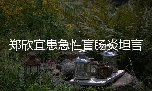 宜患炎坦言过程十郑欣住院盲肠公开分痛苦 急性手术视频