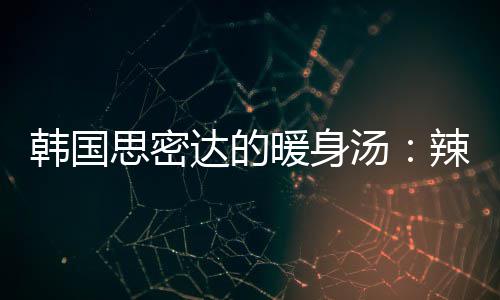 达的豆腐菜金汤汤暖身枪鱼韩国辣白思密