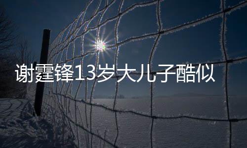 大儿子酷爸 柏芝牵手谢霆逛街锋1和张拒绝3岁似爸